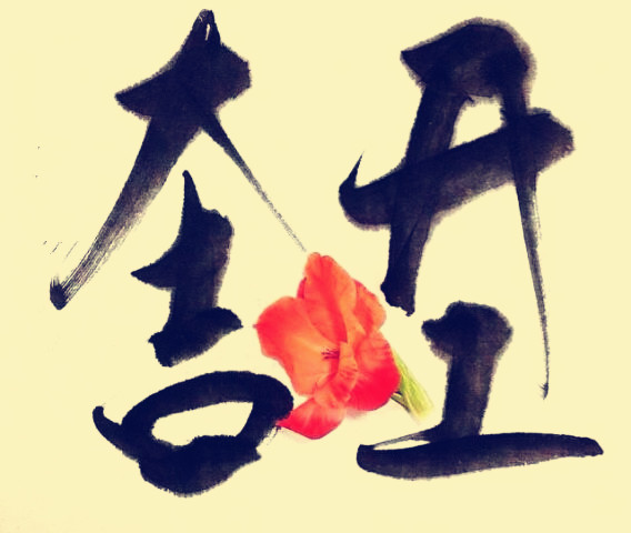 駿業(yè)包裝開工大吉！